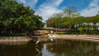广阔的水景在都市结构中除了增𣵚美感外，还有重要功能。经过设计的水体既能增加生物多样性，亦可减少水淹的风险。此外，也可以为坊众提供休憩和康乐空间。